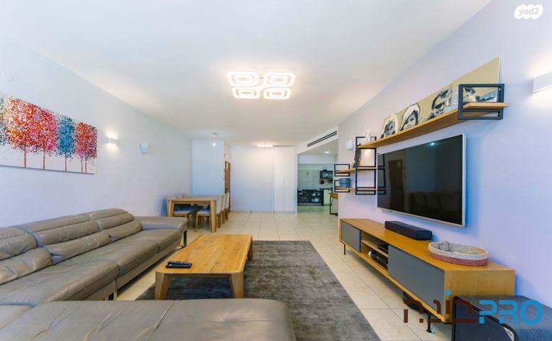 צבי הרמן שפירא 