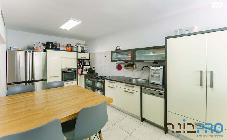 צבי הרמן שפירא 