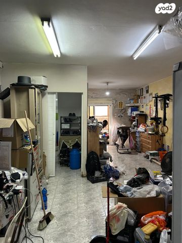 טריפלקס, דרום, צפת