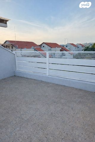 אירוס הארגמן 