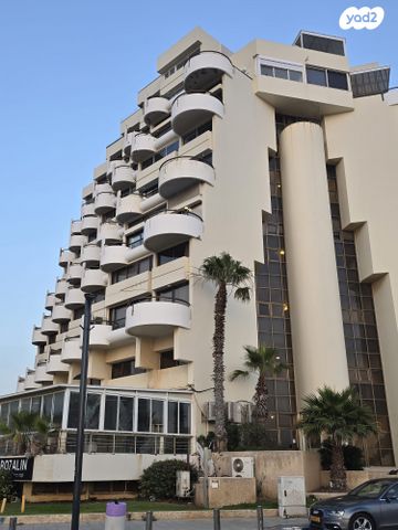 אלי לנדאו 93