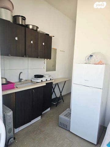 יהודה לייב פינסקר 