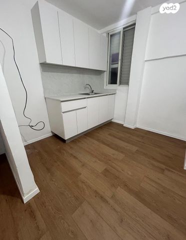 זאב ז'בוטינסקי 