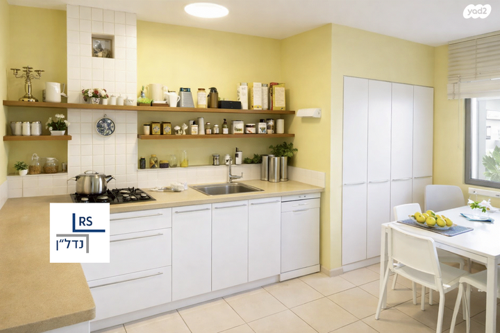 מאיר פיינשטיין