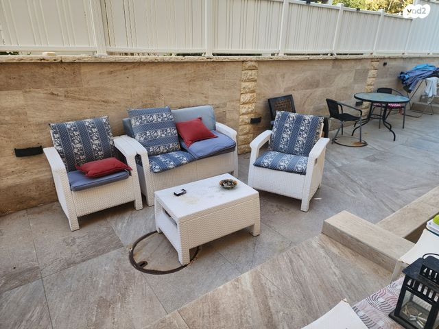 אלכסנדר זייד 