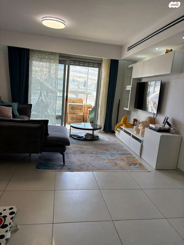 דירה, החותרים, טירת כרמל