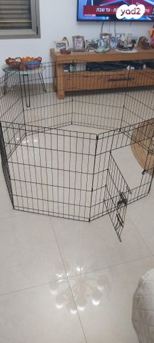 תמונת מודעה - חיות מחמד