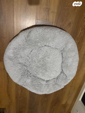 תמונת מודעה - חיות מחמד