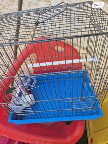 תמונת מודעה - חיות מחמד