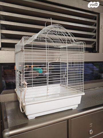 תמונת מודעה - חיות מחמד