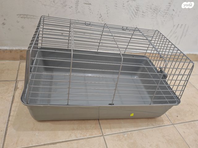 תמונת מודעה - חיות מחמד