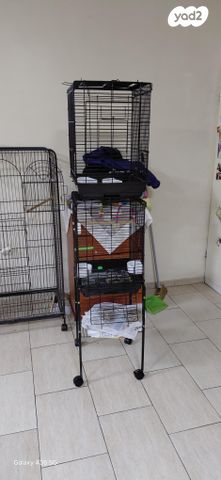 תמונת מודעה - חיות מחמד