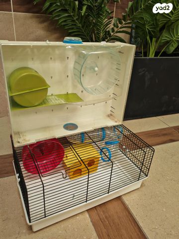 תמונת מודעה - חיות מחמד