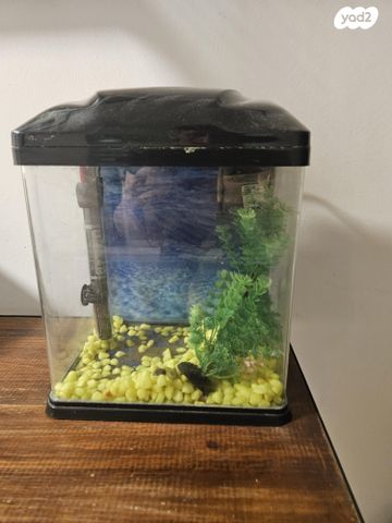 תמונת מודעה - חיות מחמד