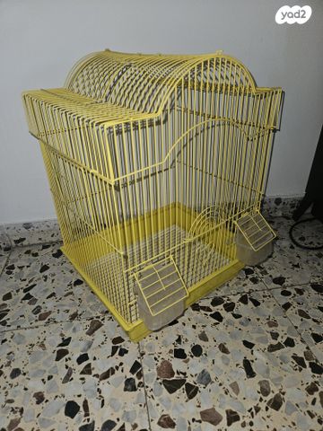 תמונת מודעה - חיות מחמד