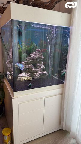 תמונת מודעה - חיות מחמד