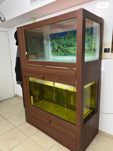 תמונת מודעה - חיות מחמד