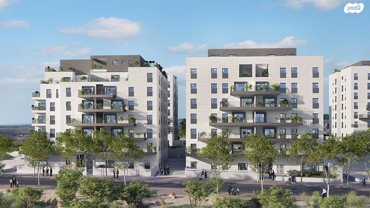 בניין דוד 12