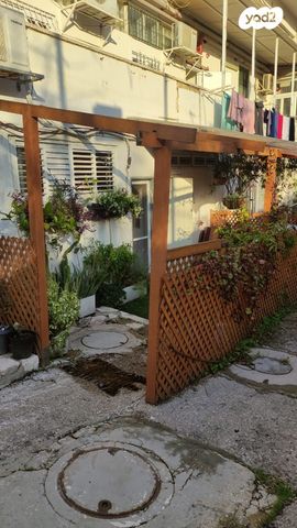 אלכסנדר ינאי 1