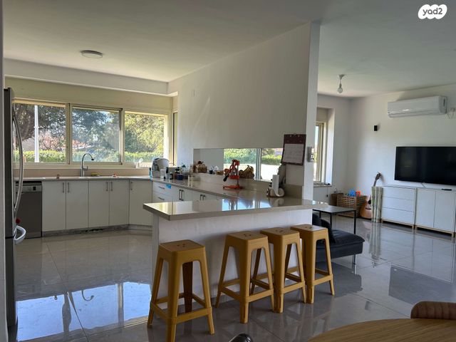 עוזי חיטמן 19