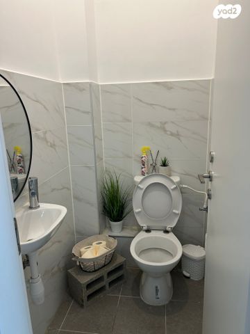 רועי קליין 5