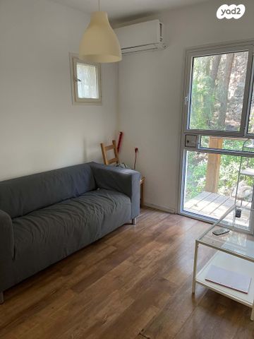 זלמן שניאור 22