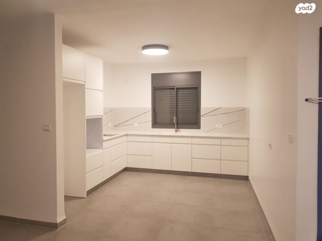 האקליפטוס 6