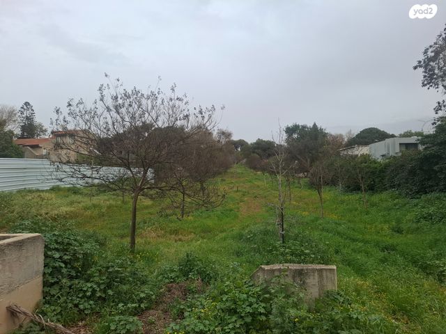 משק חקלאי/ נחלה