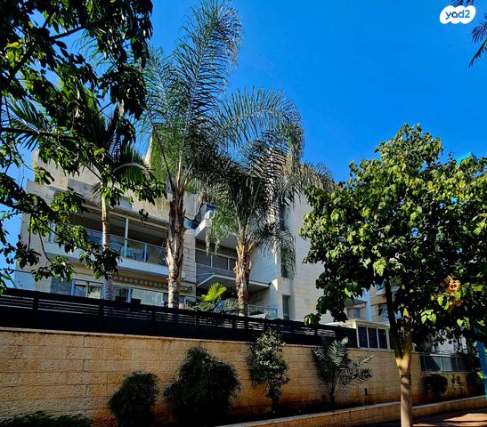 ישראל פולי פוליאקוב 