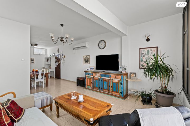 יהושע חנקין 20