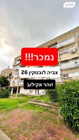 צביה לובטקין 26