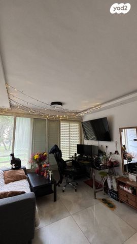 אהרון צייטלין 15