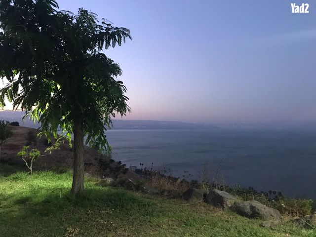 אחד העם 