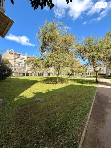 אהרון צייטלין 17