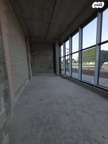 פרופ' אברהם פצ'ורניק 