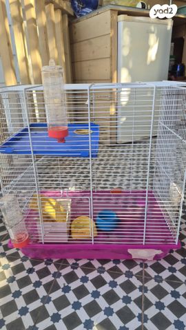 תמונת מודעה - חיות מחמד