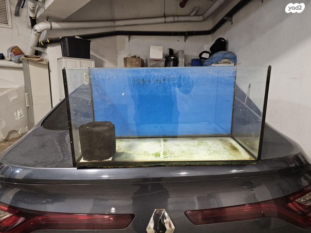 תמונת מודעה - חיות מחמד