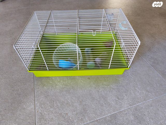 תמונת מודעה - חיות מחמד