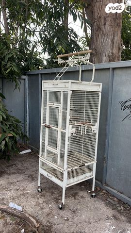 תמונת מודעה - חיות מחמד