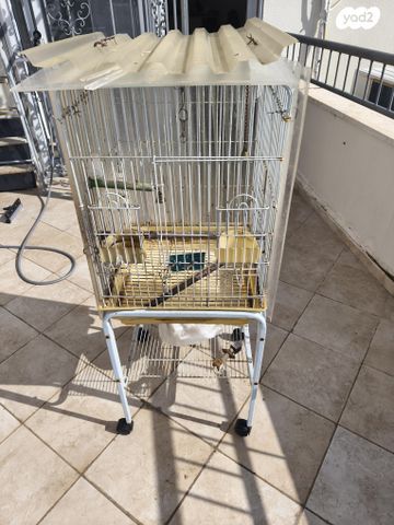 תמונת מודעה - חיות מחמד