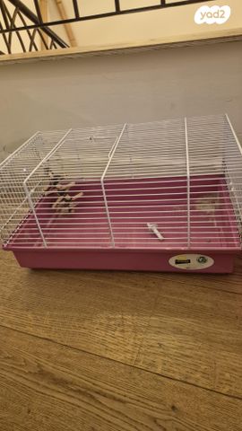 תמונת מודעה - חיות מחמד