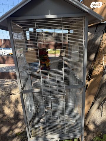 תמונת מודעה - חיות מחמד