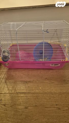 תמונת מודעה - חיות מחמד