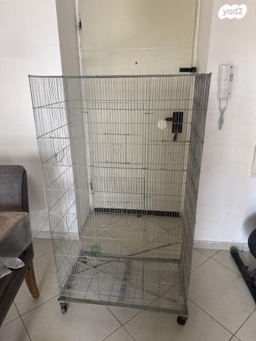 תמונת מודעה - חיות מחמד