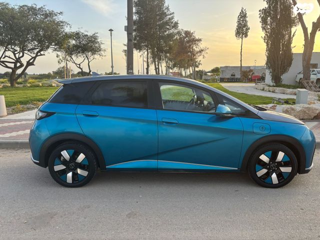 מודעת רכב בי.ווי.די דולפין