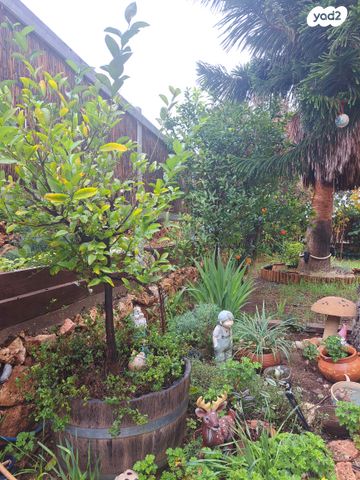 מורד נחל פרת 1