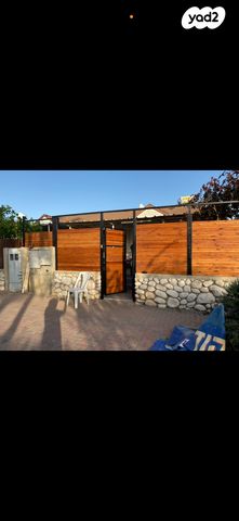 דוד אלרואי 29