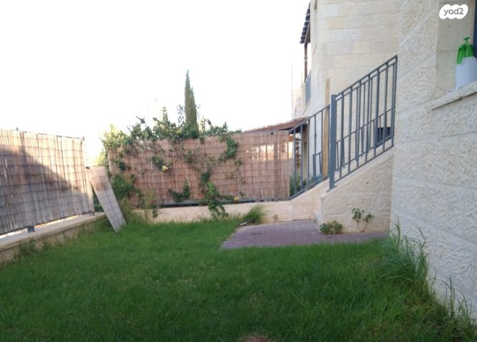 תכלת מרדכי 1