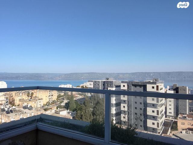 שמעון דהאן 19