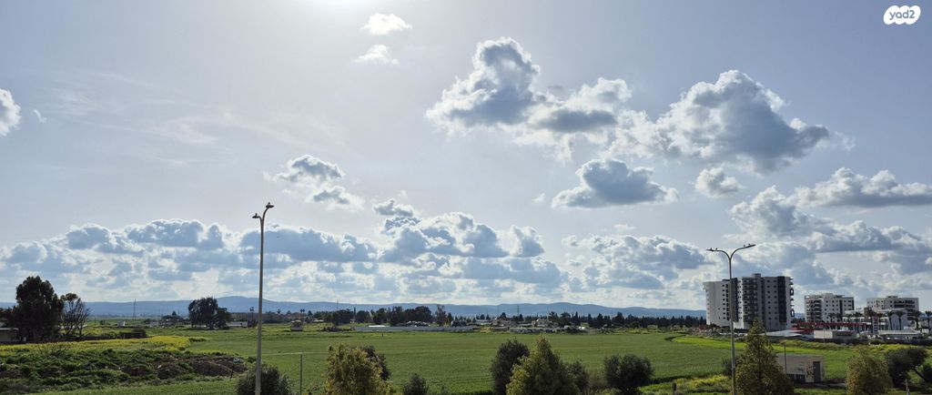 בני ישראל 14